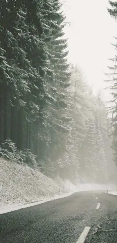 Misty road through a snowy forest with tall trees lining the path.