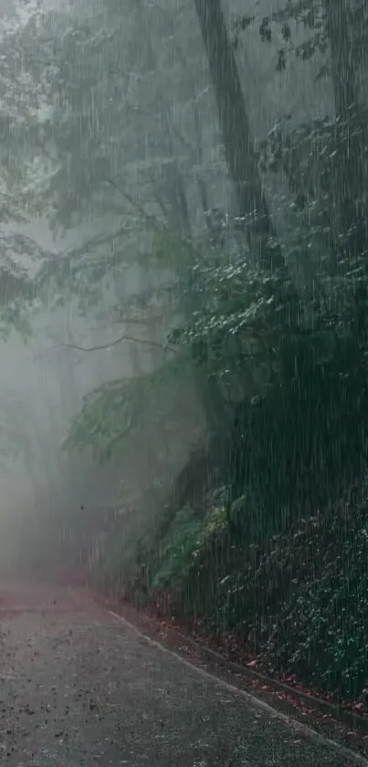 Misty forest road in rain, serene nature scene for mobile wallpaper.