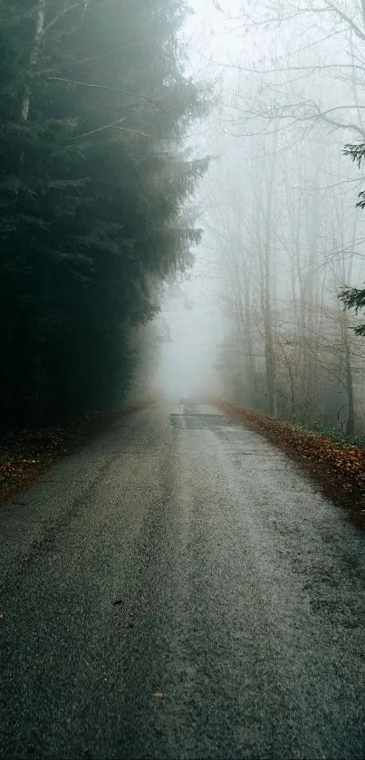 Misty forest road wallpaper with trees and fog creating a serene atmosphere.