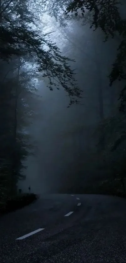 Misty forest road with dark, moody ambiance.