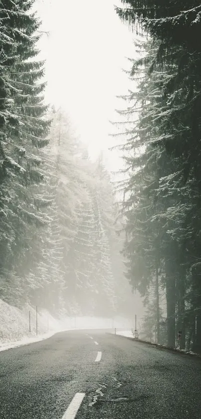 Misty road through a tranquil, snow-dusted forest.