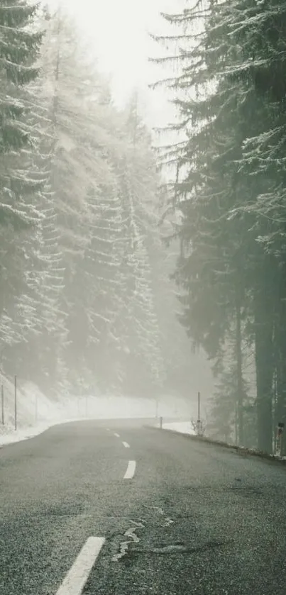 Snow-covered road through a misty winter forest.