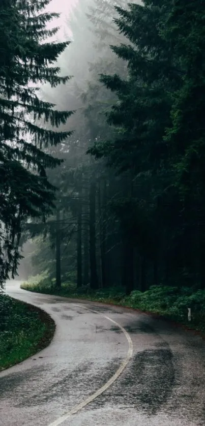 Serene misty forest road with lush green trees.