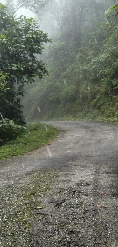 A misty winding road through a lush green forest.