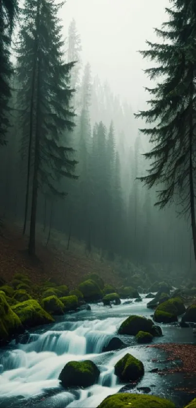 Misty forest with a flowing stream and moss-covered rocks.