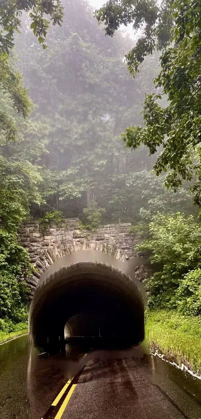 Misty tunnel surrounded by lush green forest in a tranquil setting.