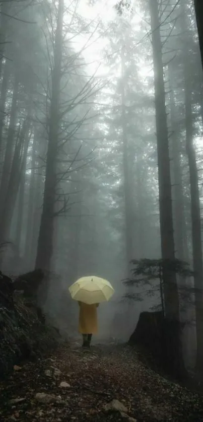 Person with yellow umbrella in misty forest.