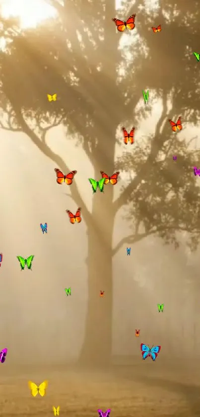 Misty forest with colorful butterflies fluttering in the sunlight.