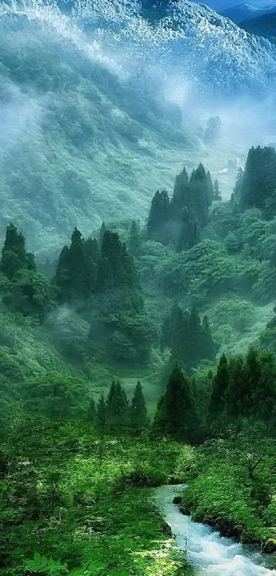 Serene misty green forest with mountains.