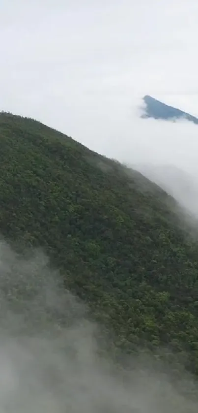 Misty green mountain with fog on a serene wallpaper background.