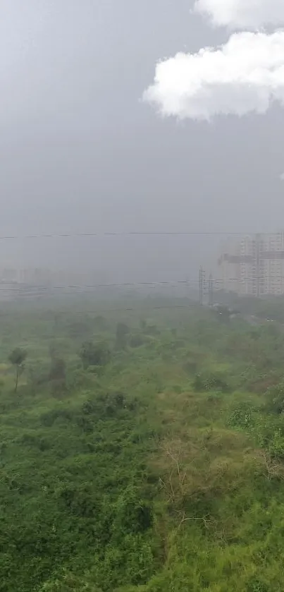 Misty urban landscape with greenery and buildings under a cloudy sky.