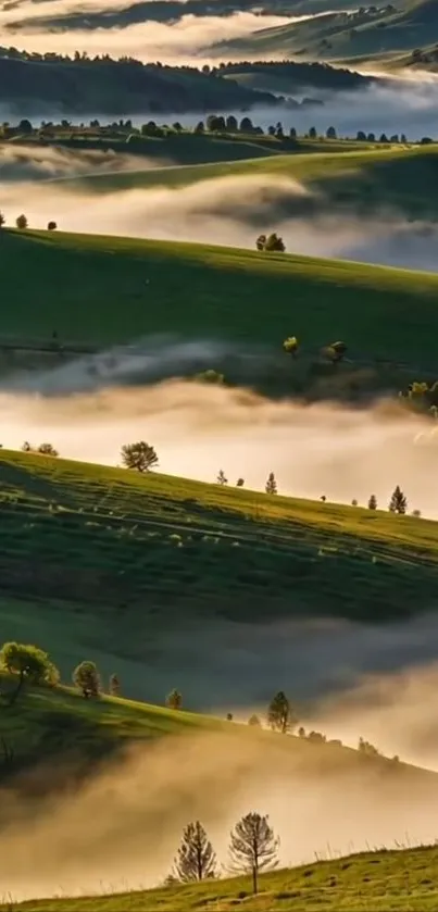 Misty hills and lush green landscape at sunrise.