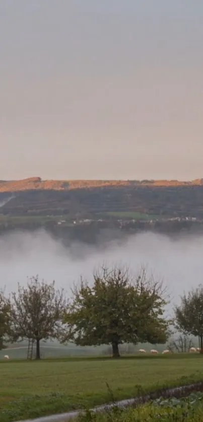 Misty hillside with rainbow over green fields and trees.