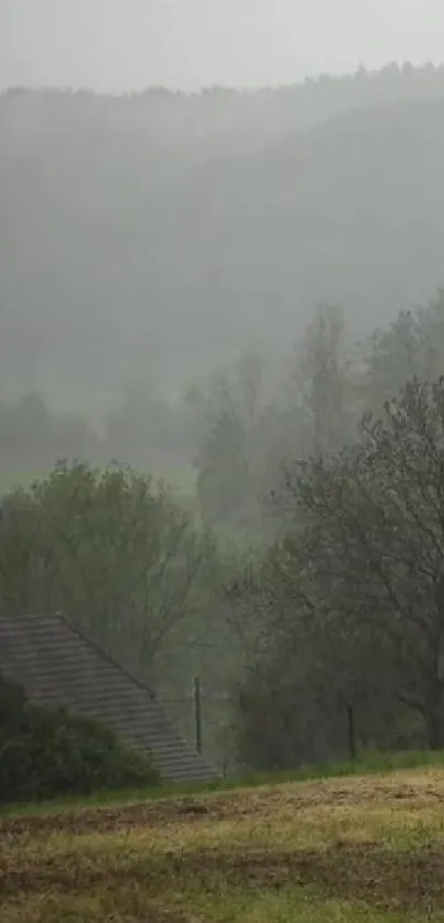 Misty hillside landscape with greenery and foggy surroundings.