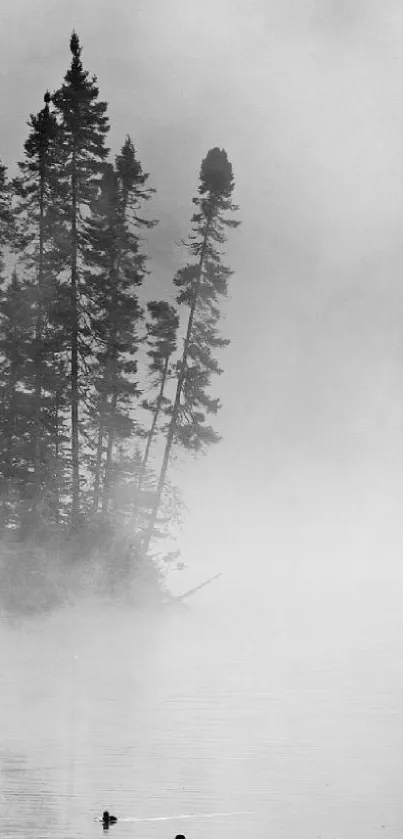 Misty lake with pine trees and a serene atmosphere.