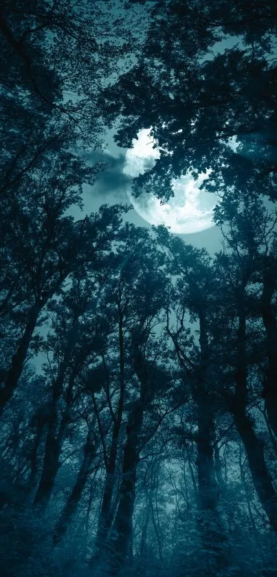 Misty forest under a moonlit sky, creating a serene and mystical atmosphere.