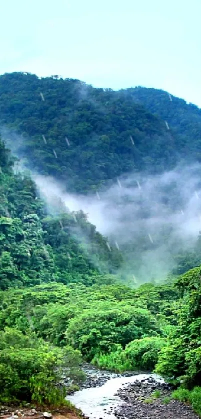 Misty mountain forest wallpaper with lush greenery and clouds.