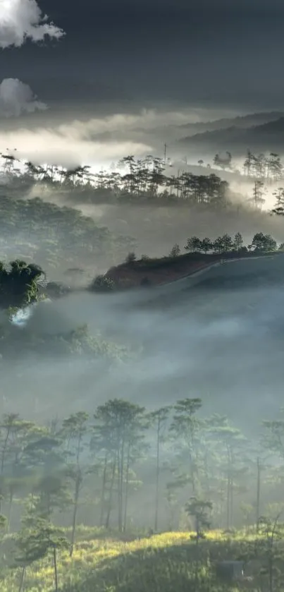 Misty mountain landscape with foggy hills and green forests.