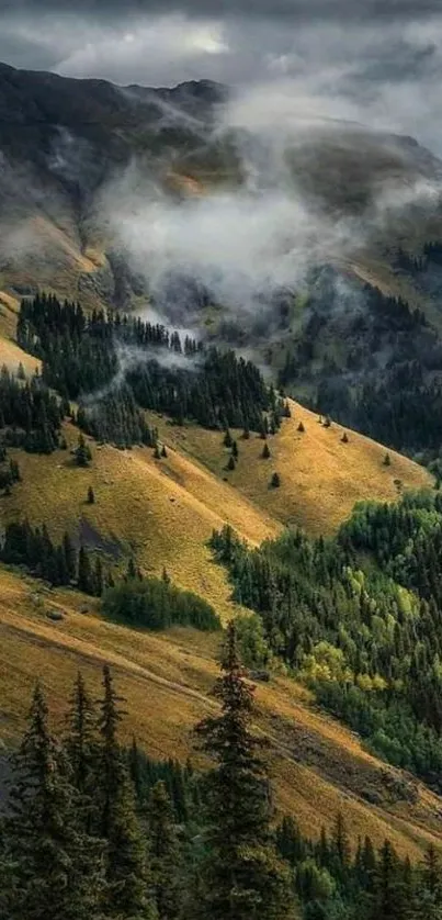 Misty mountain landscape with trees and fog.