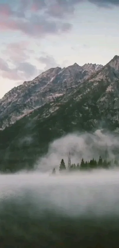 Misty mountain landscape with trees and foggy scenery.