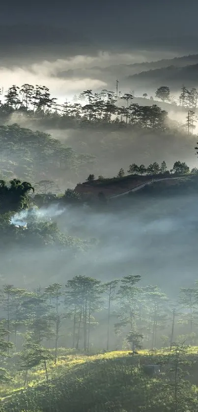 Misty mountain landscape with fog over lush green forests.