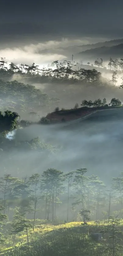 Misty mountain landscape with lush green forests and fog.