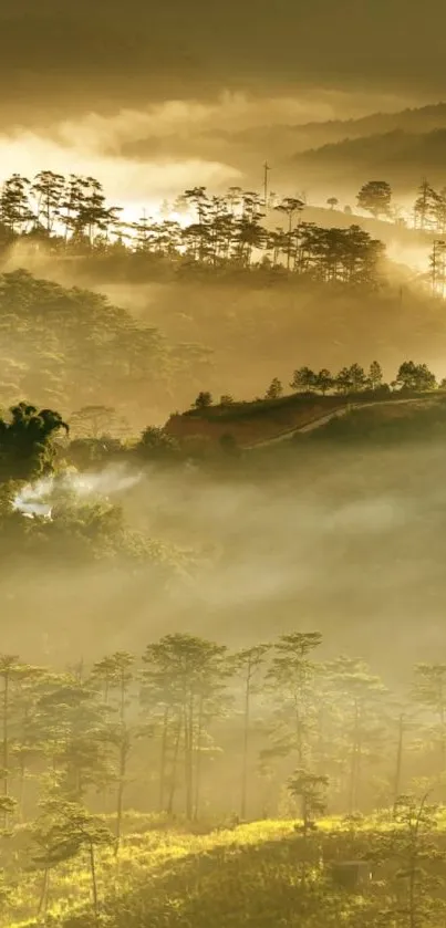 Misty mountain landscape with golden mist and lush greenery.