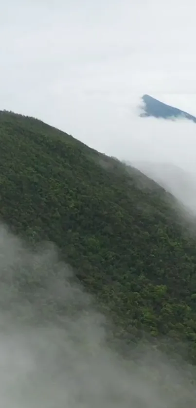 Tranquil misty mountain with lush green slopes and soft fog.