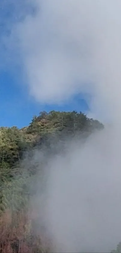 Misty mountain with fog and blue sky in wallpaper.