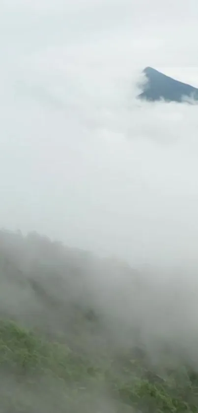 Misty mountain covered with fog and greenery in the foreground.