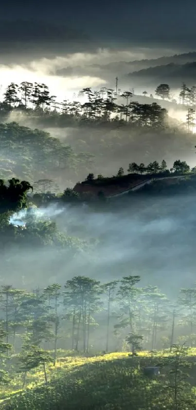 Misty mountain range with lush green forest.