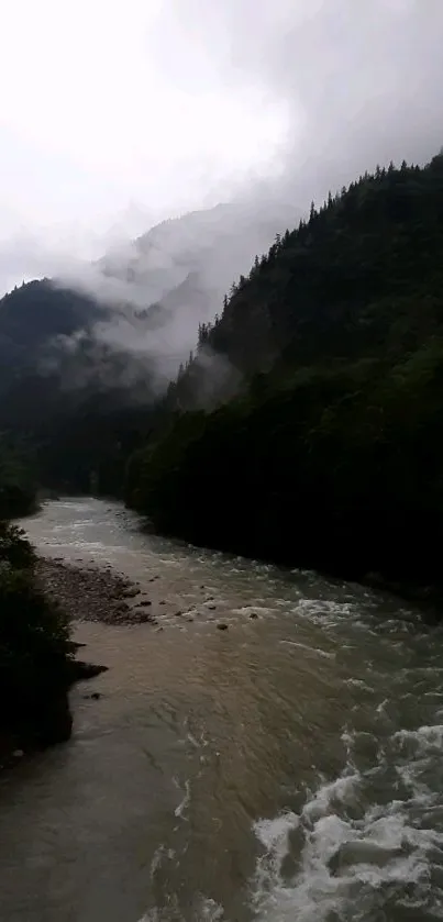 Misty river flowing through lush mountains and fog.