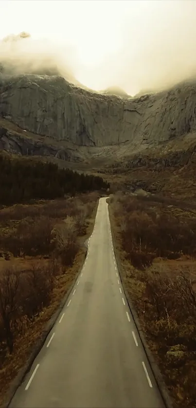 Misty mountain road with serene landscape perfect for mobile wallpaper.