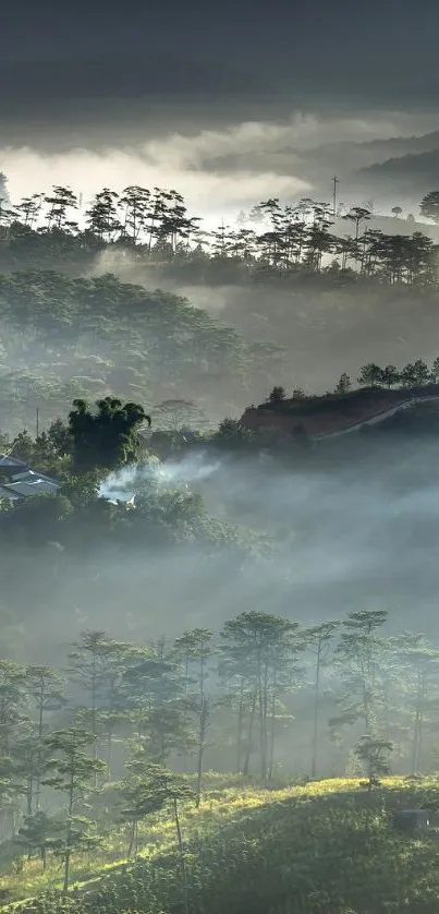 Misty mountain landscape with sunrise and green valleys.