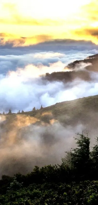 A stunning sunrise over misty mountains with golden light and lush greenery.