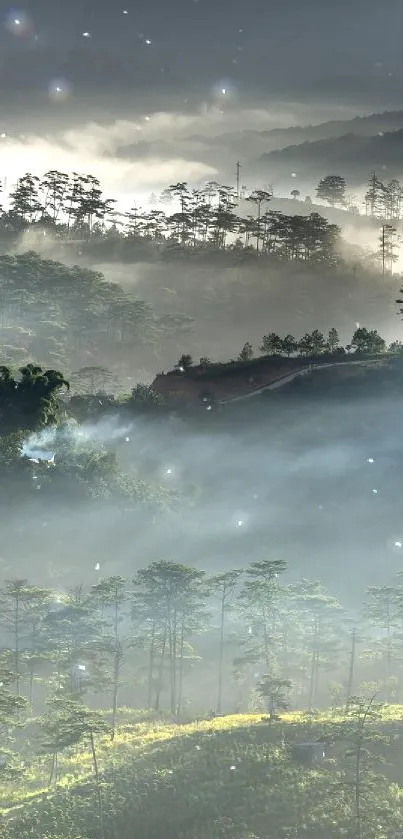 Misty mountain landscape at sunrise with lush green valleys and morning mist.