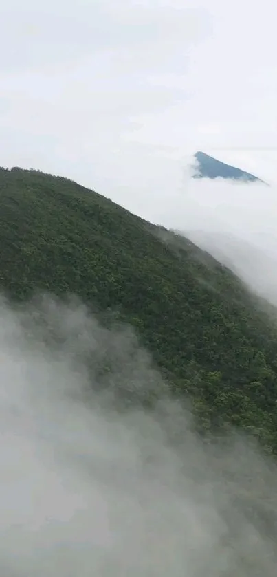 A serene misty mountain landscape with lush greens and clouds.