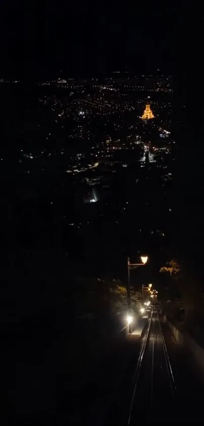 Cityscape at night with glowing lights and a dark skyline.