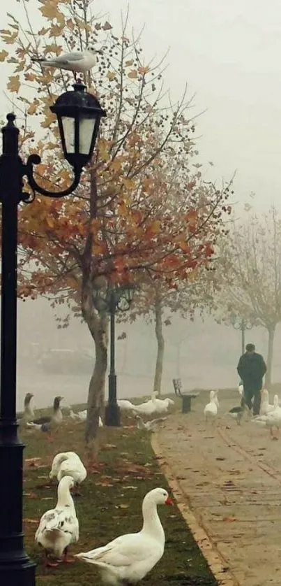 Misty park path with geese and autumn trees.