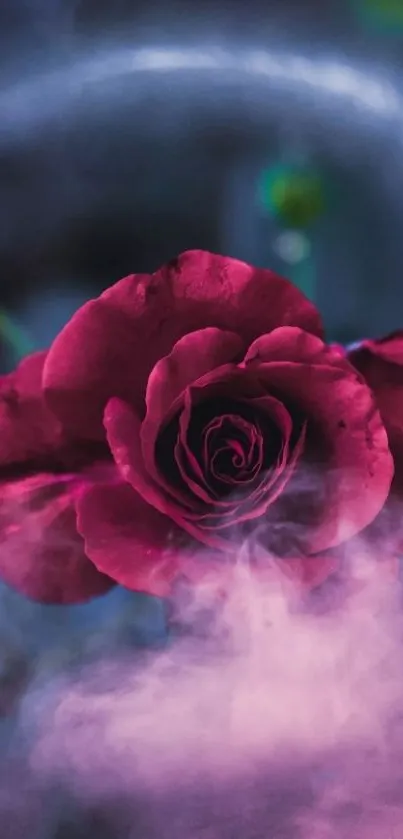 A misty red rose in focus against a dark, ethereal background.