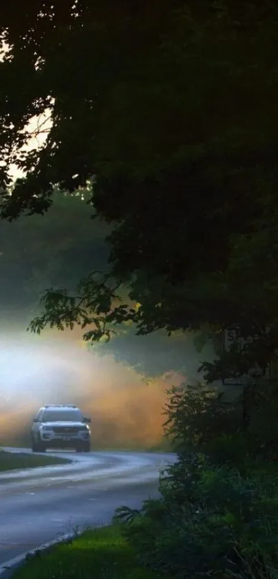 Car driving on a misty forest road.