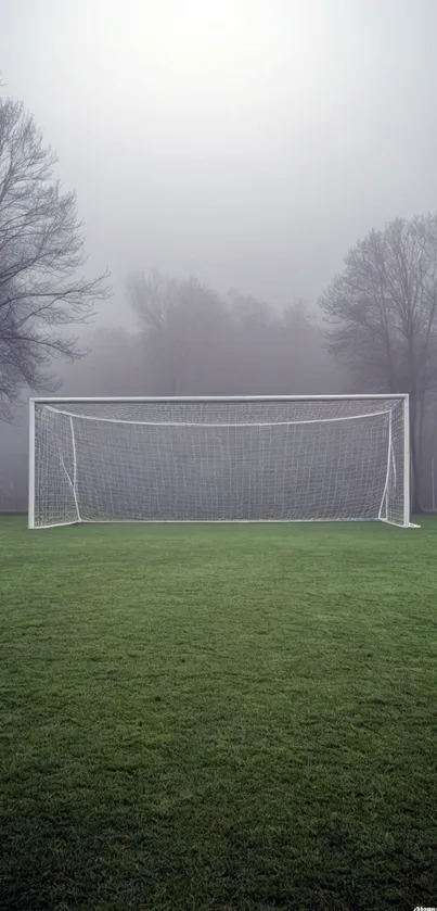 Misty soccer field with a goalpost and green grass.