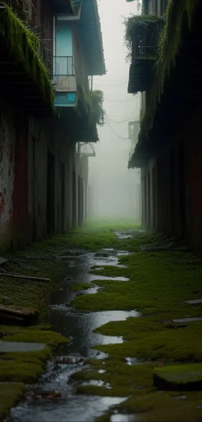 Misty urban alleyway with moss-covered ground and fog.