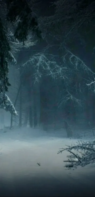 Misty winter forest with snow-covered path.