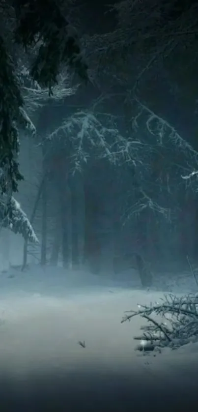 Misty winter forest with snow-covered trees and a serene path.