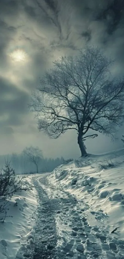 Misty winter landscape with snowy path and lone tree under a moody sky.