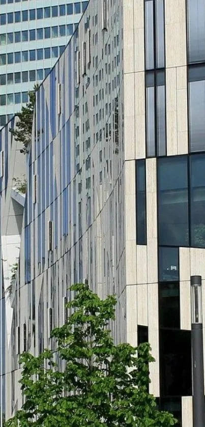 Modern building with a reflective glass facade showcasing cityscape.