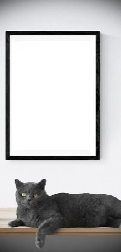 Black cat on wooden table with blank frame and gray background.