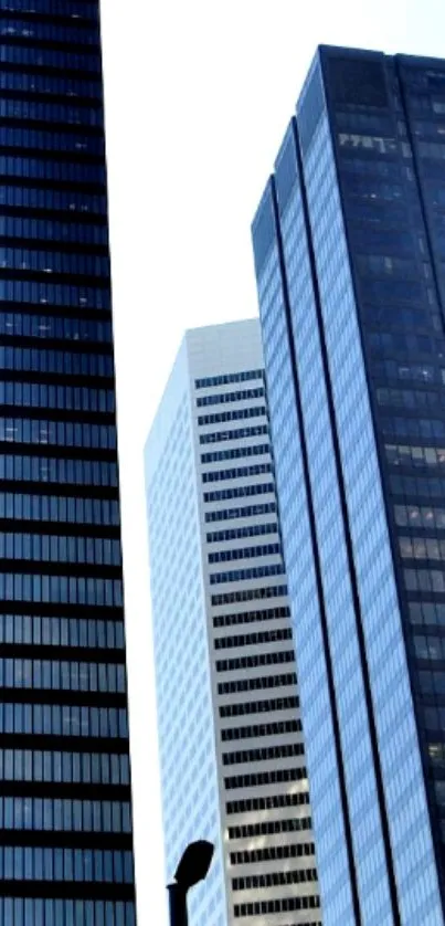 Skyscrapers towering against a clear blue sky.