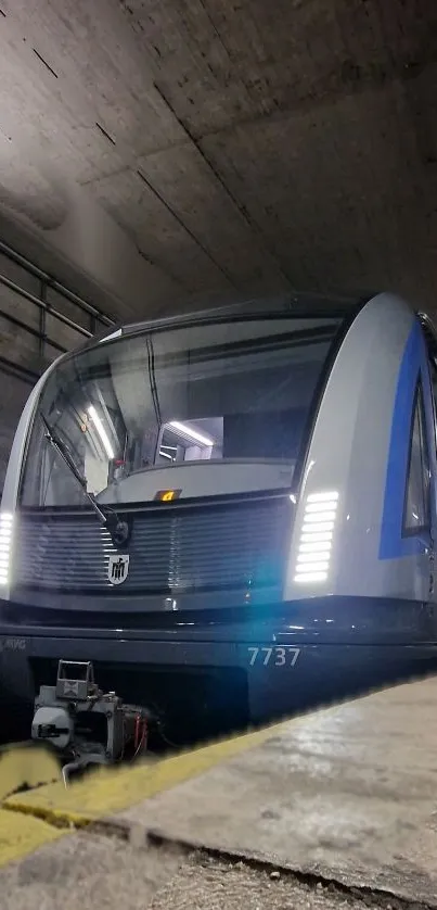 Sleek subway train in a dimly lit tunnel.